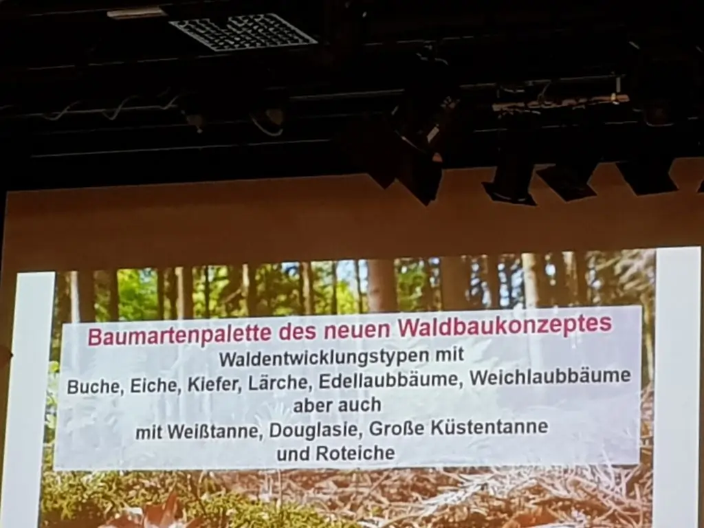 Waldbaukonzept