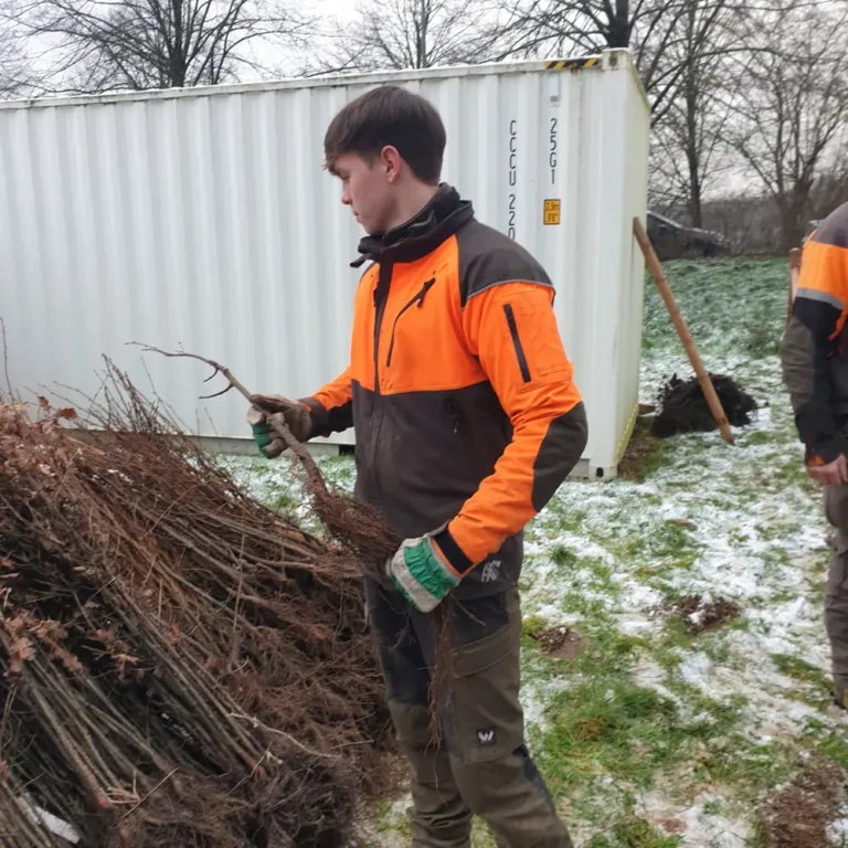 Tiny Forest in Gummersbach