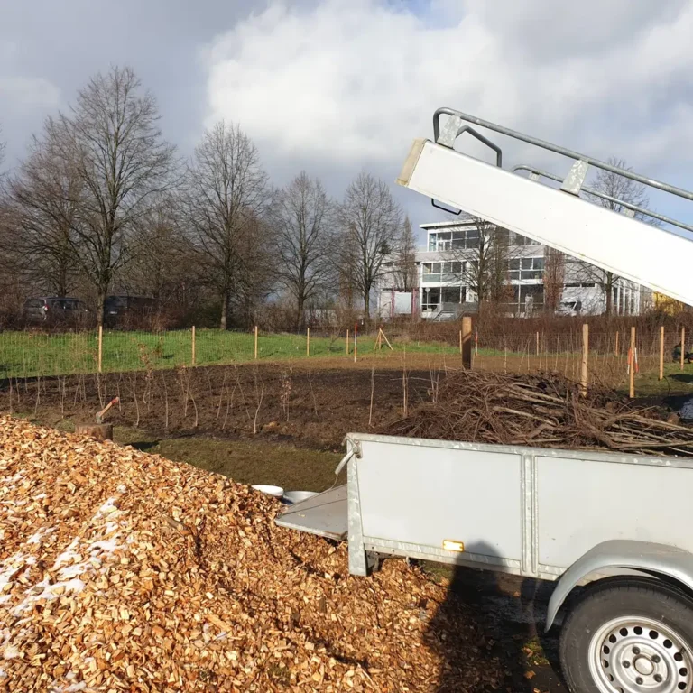 Tiny Forest in Gummersbach