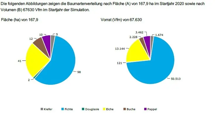 Klimaschutzleistung des Waldes