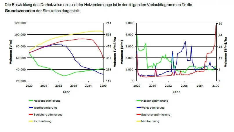 Klimaschutzleistung Wald
