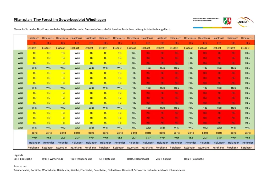 Tiny Forest in Gummersbach Pflanzplan