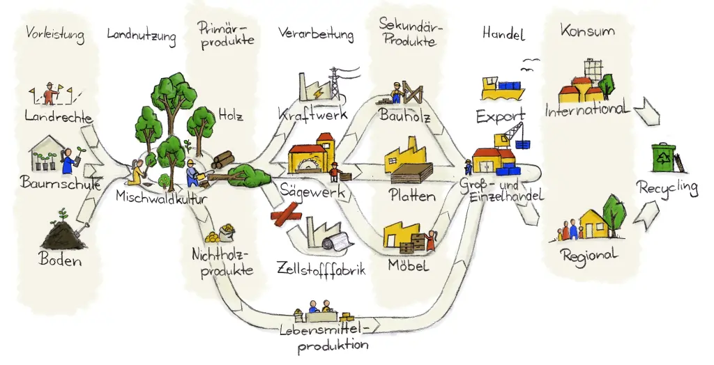 Wertschöpfungskette Laubholz